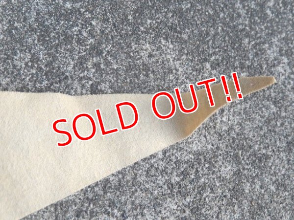 画像4: ct-170601-02 Disneyland / Vintage Pennant