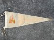 画像1: ct-170601-02 Disneyland / Vintage Pennant