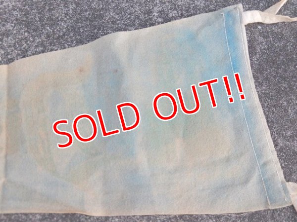 画像6: ct-170601-02 Disneyland / Vintage Pennant