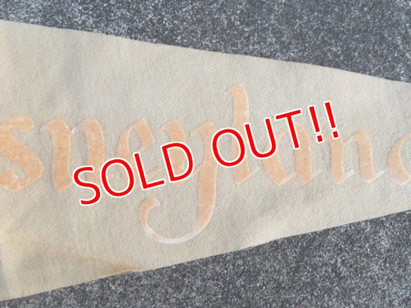 画像3: ct-170601-02 Disneyland / Vintage Pennant