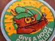 画像2: ct-170605-13 Woodsy Owl / Vintage Patch