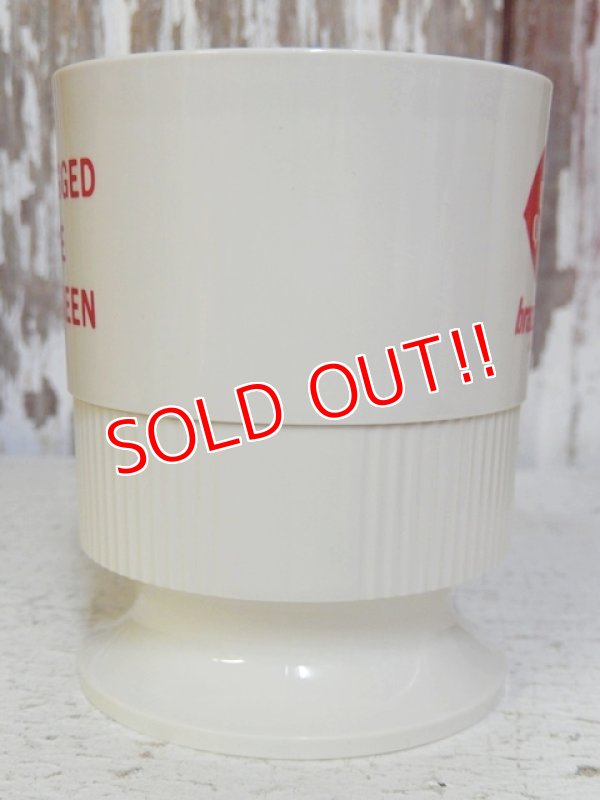 画像4: dp-170605-08 Dairy Queen / 1970's Plastic Mug