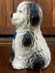 画像4: ct-170701-07 PF Saving / 1970's Shaggy Dog Coin Bank