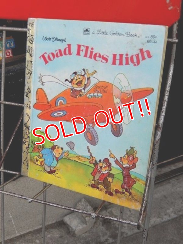 画像10: dp-120415-05 Wonder Books / Vintage Book Rack