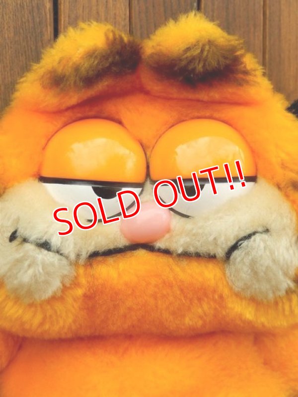 画像2: ct-170803-47 Garfiled / R.DAKIN 1980's Plush Doll