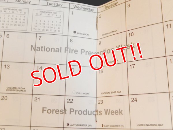 画像5: ct-170803-02 Smokey Bear / 1997 Appointment Book