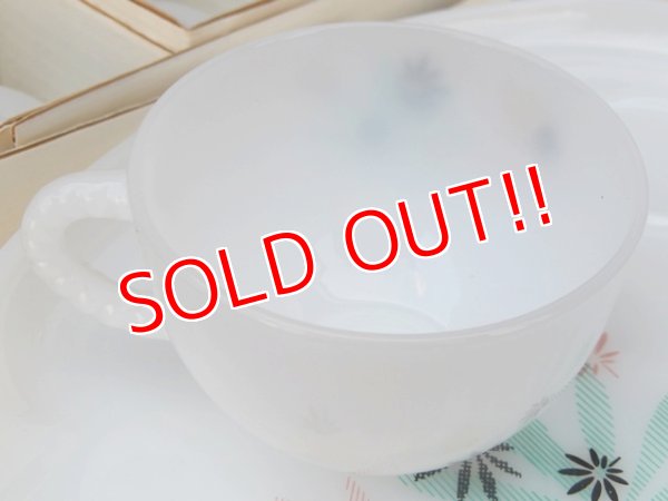 画像10: kt-170605-04 Federal / 1960's Patio 8 Piece Snack Set