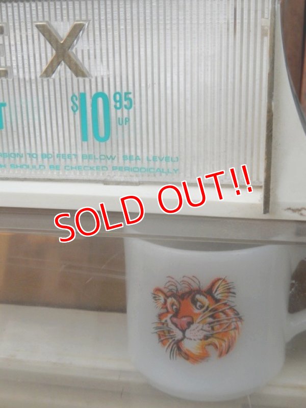 画像10: dp-171201-03 TIMEX / 1970's Display Case