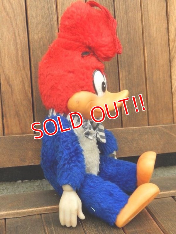 画像4: ct-171201-02 Woody Woodpecker / 1982 Plush Doll