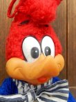 画像2: ct-171201-02 Woody Woodpecker / 1982 Plush Doll