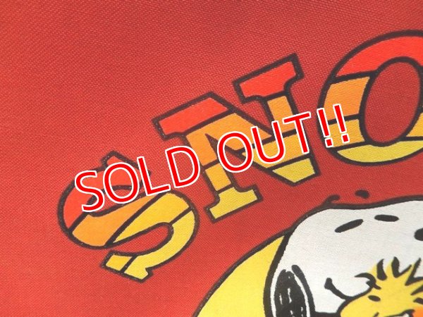 画像2: ct-171206-01 Snoopy / AVIVA 1970's Trunk