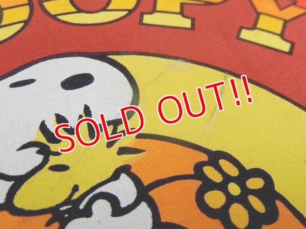 画像12: ct-171206-01 Snoopy / AVIVA 1970's Trunk