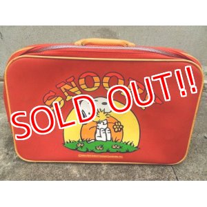 画像: ct-171206-01 Snoopy / AVIVA 1970's Trunk