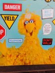 画像2: ct-171206-62 Sesame Street / Big Bird 1977 Record