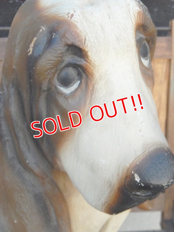 画像8: ct-180110-15 Hush Puppies / 1970's Store Display