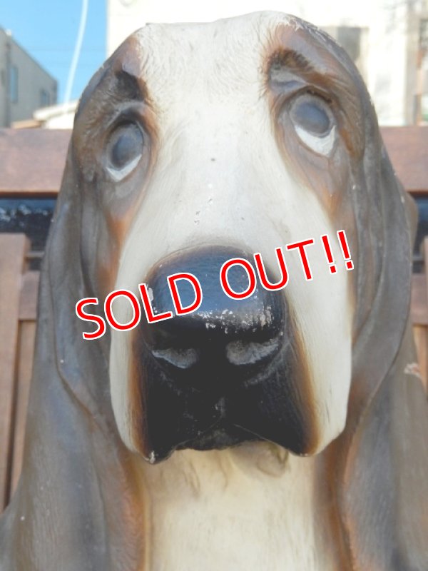 画像2: ct-180110-15 Hush Puppies / 1970's Store Display