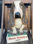 画像1: ct-180110-15 Hush Puppies / 1970's Store Display