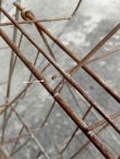 画像8: dp-180110-24 PermaBooks / 1950's Wire Rack