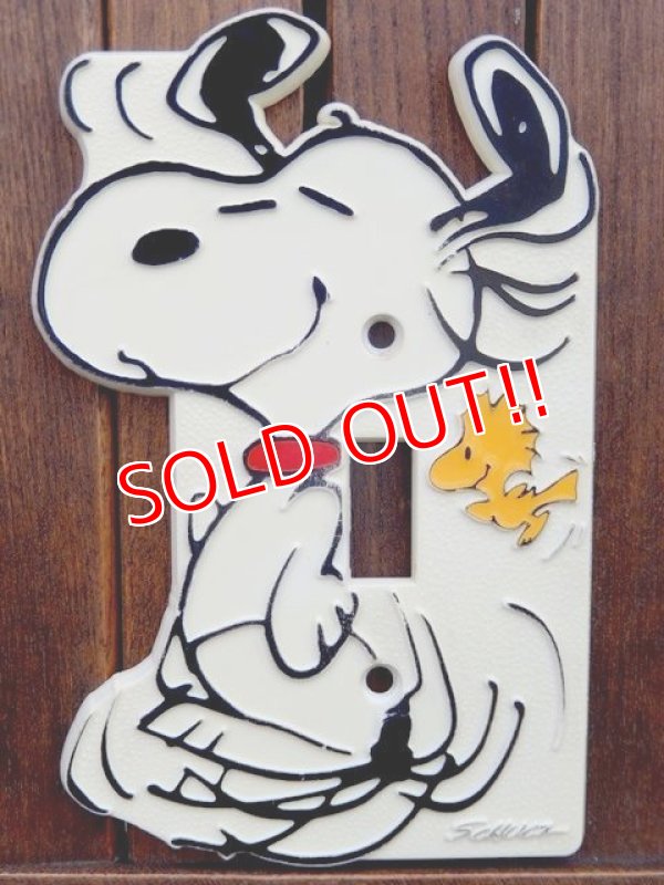 画像1: ct-180201-09 Snoopy / 1970's Switch Cover