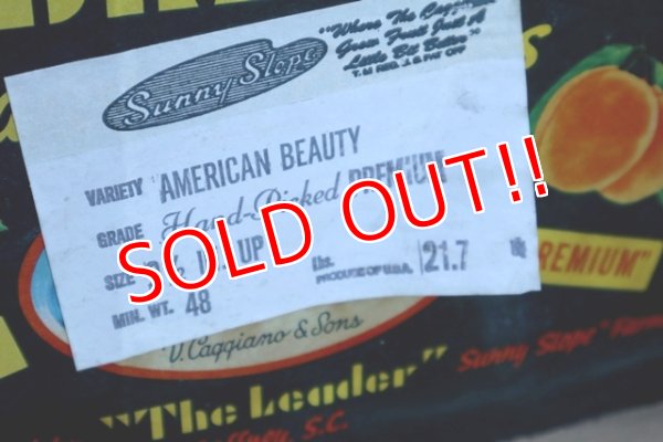 画像12: dp-180110-12 Vintage Wood Box