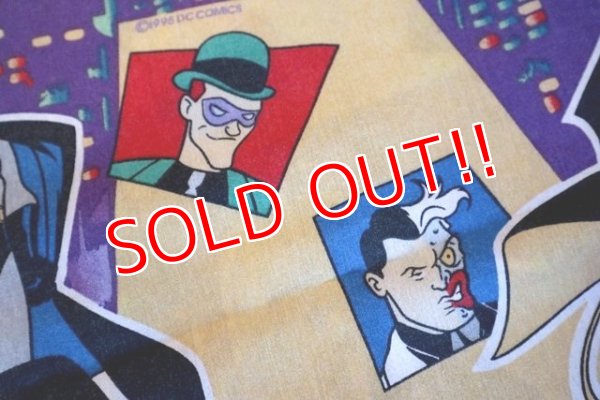 画像5: ct-180201-94 Batman & Robin / 1995 Flat Sheet (Twin size)