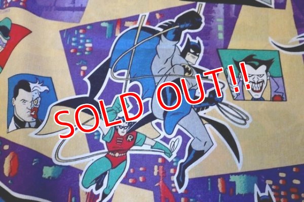 画像4: ct-180201-94 Batman & Robin / 1995 Flat Sheet (Twin size)