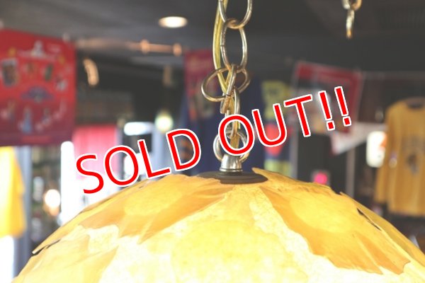 画像10: dp-171101-16 Vintage Pendant Light