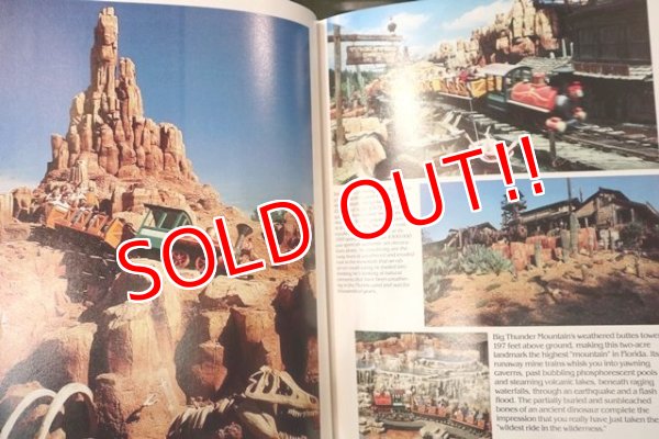 画像4: ct-180401-45 Walt Disney World / 20 Magical Yeas Book