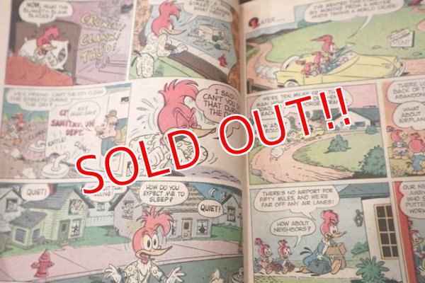 画像2: bk-131211-12 Woody Woodpecker / Gold Key 1970 Comic