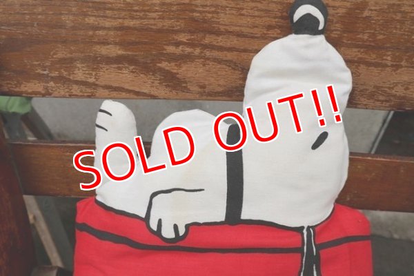 画像5: ct-18-508-01 Snoopy / 1970's Pillow Doll