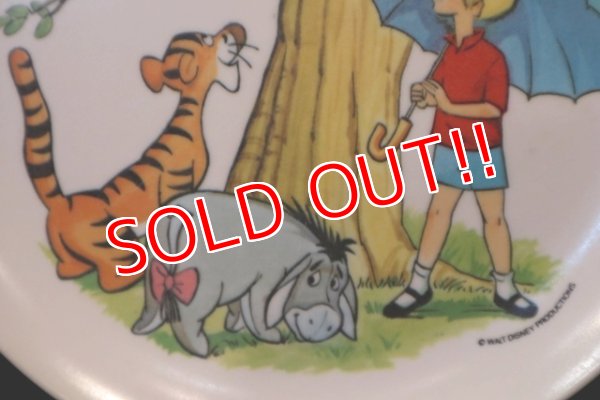 画像4: ct-180514-01 Winnie the Pooh / 1970's Plastic Plate