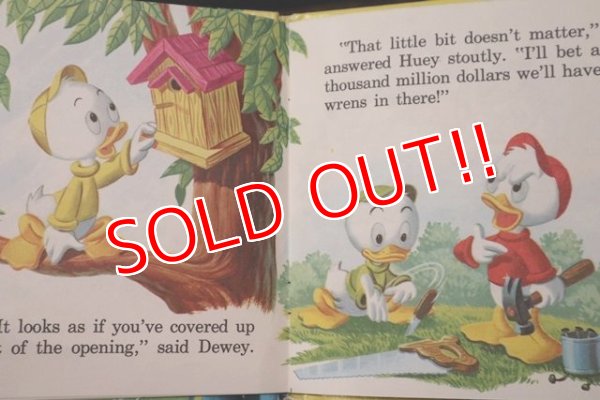 画像5: ct-180514-45 Donald Duck / Whitman 1960's Picture Book