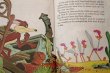 画像5: ct-180514-42 Road Runner / A Very Scary Lesson 1970's Little Golden Book