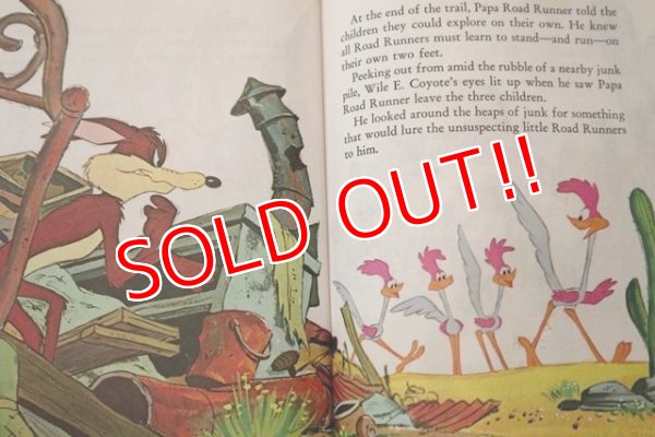 画像5: ct-180514-42 Road Runner / A Very Scary Lesson 1970's Little Golden Book