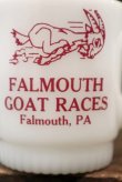 画像2: dp-180508-37 FALMOUTH GOAT RACE / Anchor Hocking 1970's Mug