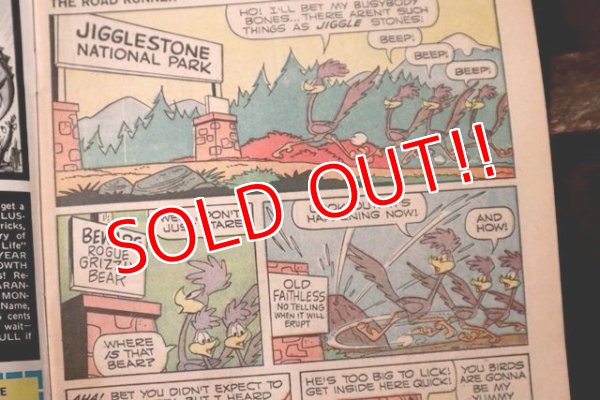 画像2: bk-180801-08 Road Runner / Gold Key 1970 Comic