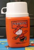 画像11: ct-180801-05 Snoopy and Woodstock / Thermos 1970's Lunchbox