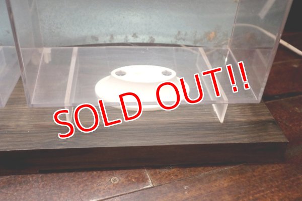 画像5: dp-180701-69 TIMEX / 1960's-1970's Display Case