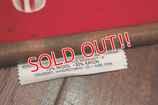 画像6: dp-180801-72 OHIO STATE UNIVERSITY / Vintage Football Banner