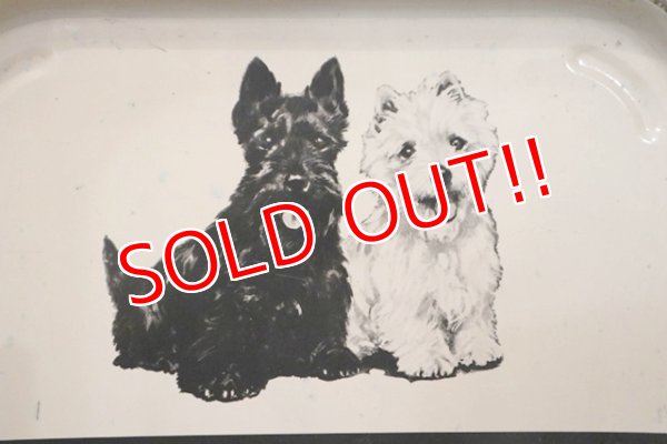 画像2: dp-180801-44 Black & White Scotch Whisky / Vintage Tin Tray