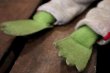 画像7: ct-180901-174 Kermit / 1990's Muppet University Plush Doll