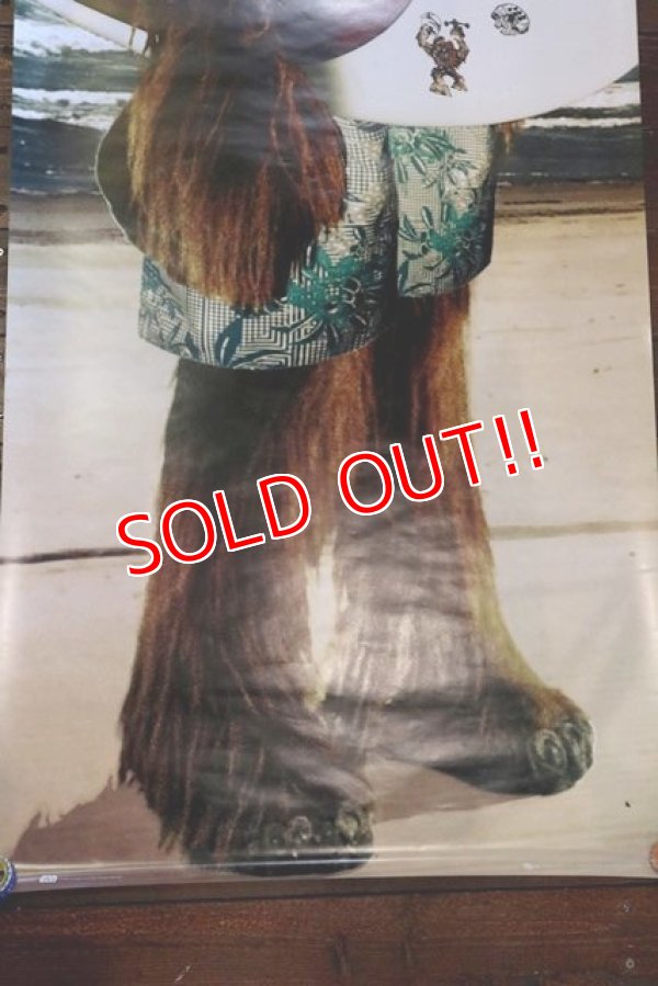 画像5: ct-180901-185 STAR WARS / Chewbacca /2012 Poster