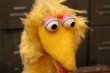 画像2: ct-180901-158 Big Bird / 1970's Hand Puppet