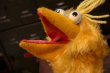 画像7: ct-180901-158 Big Bird / 1970's Hand Puppet