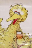 画像2: ct-180901-193 Big Bird / 1990's Poster