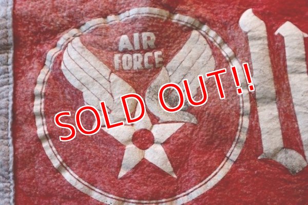 画像2: dp-180901-04 U.S. AIR FORCE / 1950's Pennant