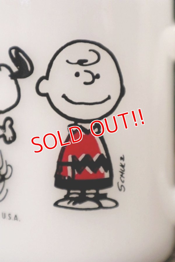 画像2: ct-181101-11 PEANUTS / 1960's-1970's Federal Mug