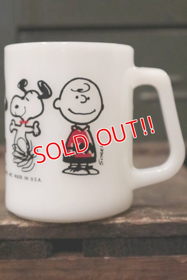 画像1: ct-181101-11 PEANUTS / 1960's-1970's Federal Mug