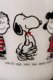 画像5: ct-181101-11 PEANUTS / 1960's-1970's Federal Mug