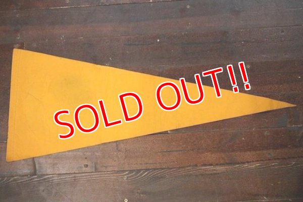 画像6: ct-181101-83 Pittsburgh Steelers / Vintage Pennant